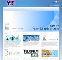  ysf web design